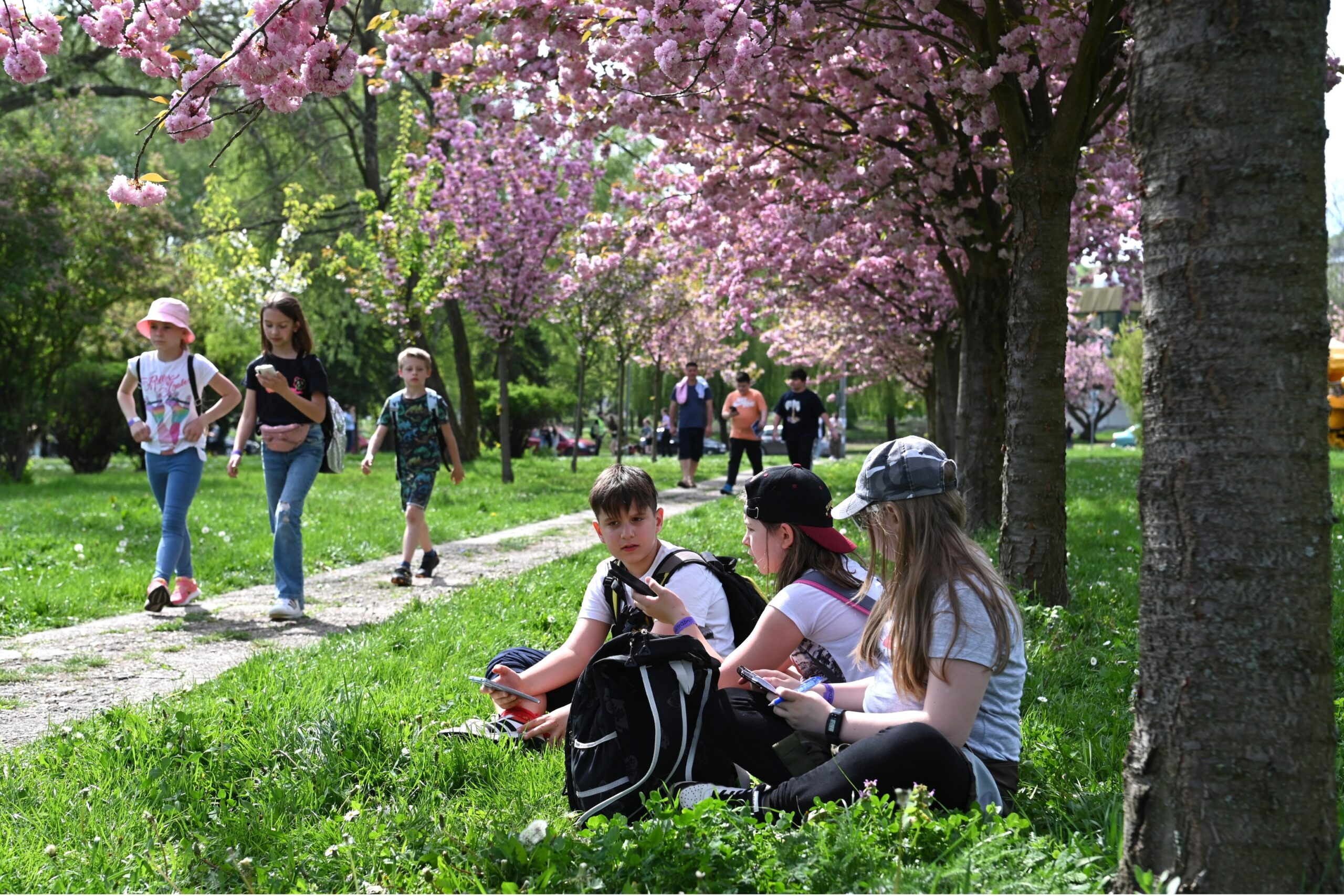 Osztálykirándulások a campuson